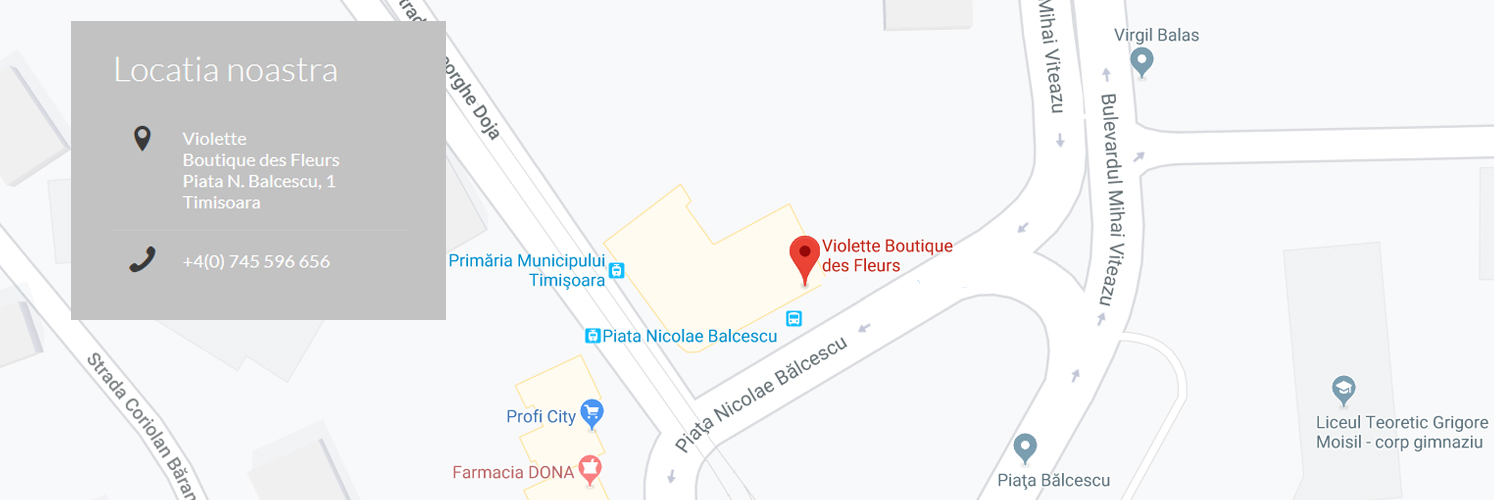 map_violette_